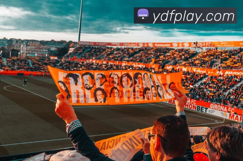 多媒体互动体验